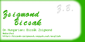 zsigmond bicsak business card